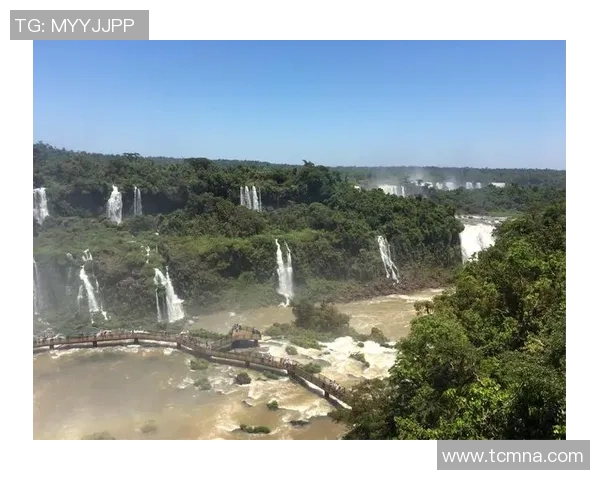 2017年3月巴西对战强敌精彩回顾与赛后分析 2017年3月巴西对战强敌精彩回顾与赛后分析