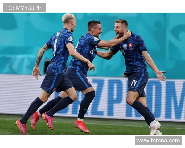 欧洲杯精彩对决斯洛伐克与波兰强强联手争夺胜利荣耀