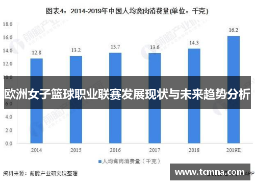 欧洲女子篮球职业联赛发展现状与未来趋势分析