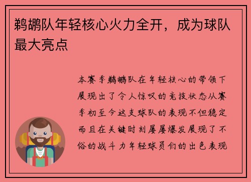 鹈鹕队年轻核心火力全开，成为球队最大亮点